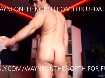 waynenorth stream poster